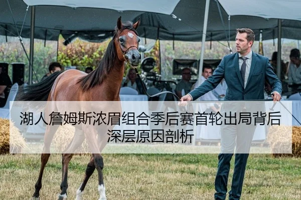 湖人詹姆斯浓眉组合季后赛首轮出局背后深层原因剖析